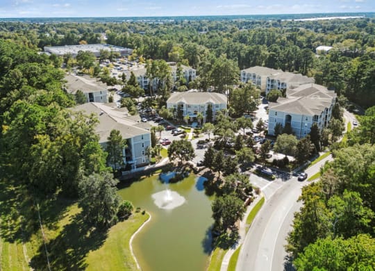 Aerial View at West Ashley Apartment Homes, Charleston, South Carolina29414