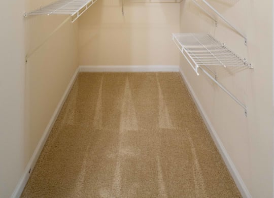 Expansive Walk In Closets at Abberly Woods Apartment Homes, Charlotte, 28216