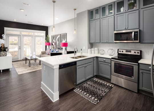 Stainless Steel Appliances at Abberly Onyx Apartment Homes, Georgia