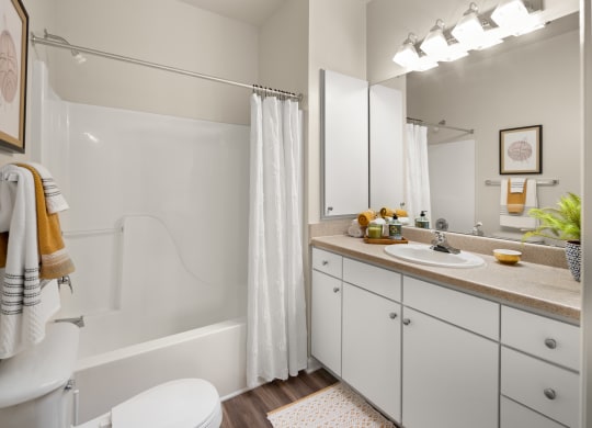 our apartments offer a bathroom with a shower at Abberly Grove Apartment Homes, Raleigh, NC, 27610