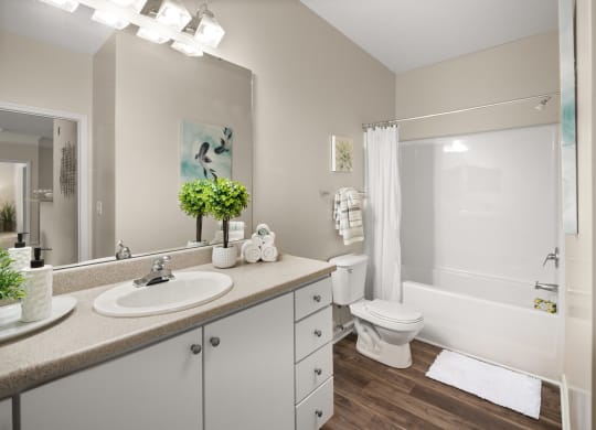 our apartments offer a bathroom with a shower and tub at Abberly Grove Apartment Homes, Raleigh, NC