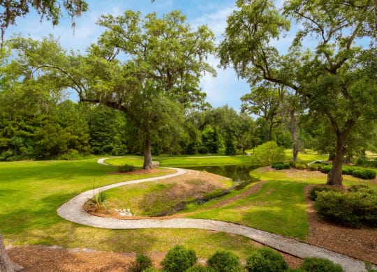 a winding path through a park with trees and a pond