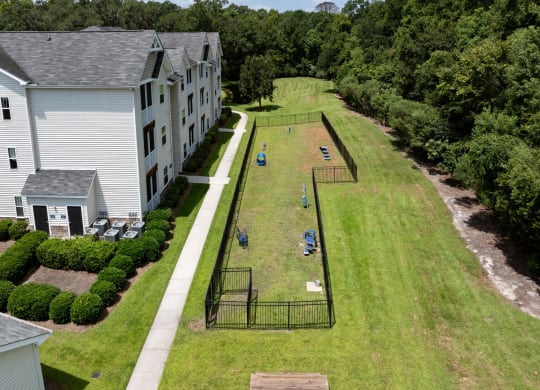 Large Dog Park With Agility Equipment
