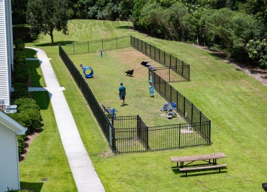 a dog park in a yard behind a black fence