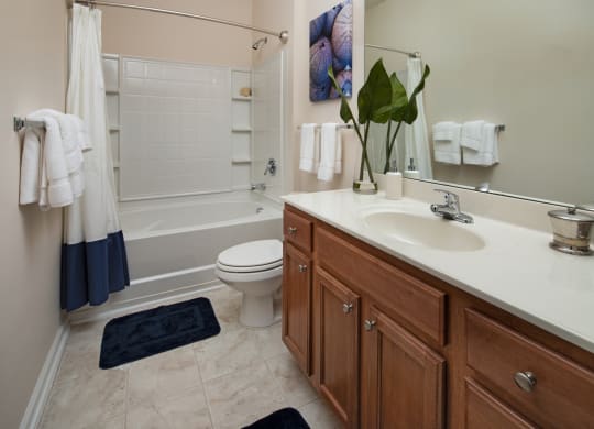 a bathroom with a sink and a shower and a toilet