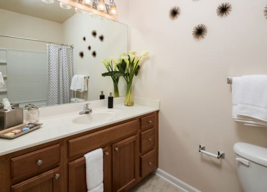 the preserve at ballantyne commons apartment bathroom with sink and mirror