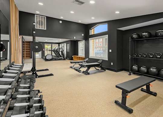 A gym with a variety of equipment including weights, a bench, and a window.