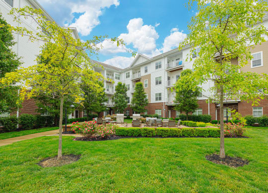 the preserve at city center courtyard with grass and trees