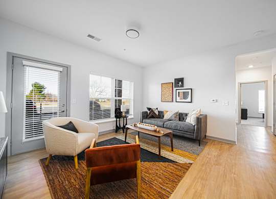 A living room with a couch, chair, and rug.