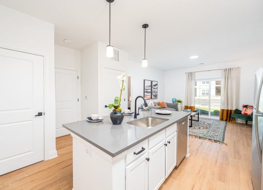 kitchen at retreat at mount vernon apartments