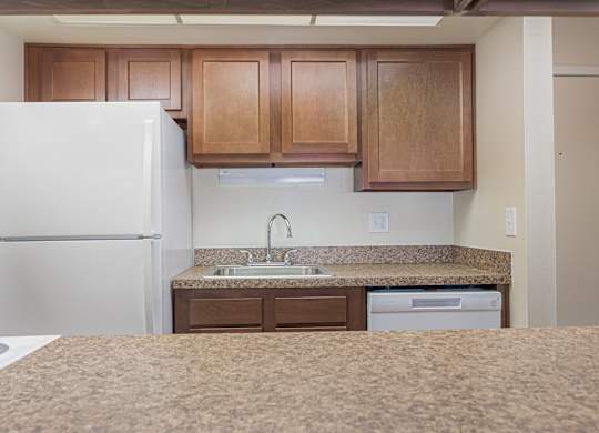 a kitchen with a sink and a refrigerator