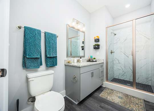 a bathroom with a shower and a toilet and a sink