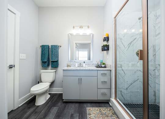 a bathroom with a shower toilet and sink