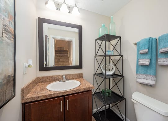a bathroom with a sink and a mirror and a towel rack