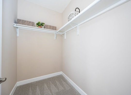 a walk in closet with white walls and a shelf with a plant