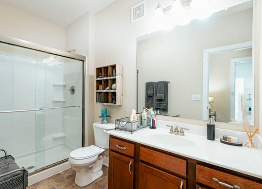 a bathroom with a shower toilet and sink and a mirror