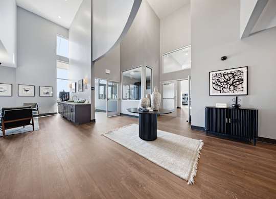 A modern living room with a black and white rug, a wooden floor, and a large mirror on the wall.