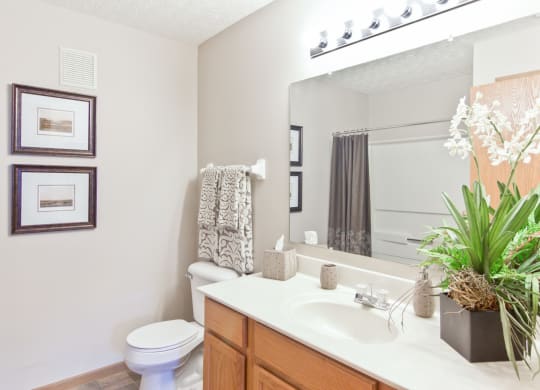 a bathroom with a sink and a toilet and a mirror
