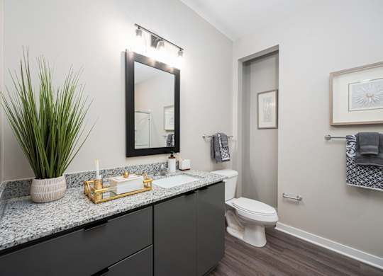A bathroom with a black counter top and a white toilet.
