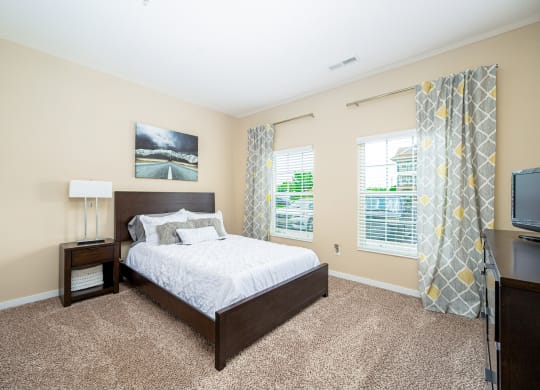 a bedroom with a bed and a tv