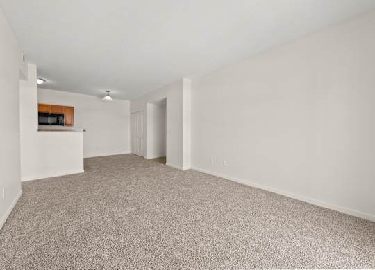 A spacious room with a carpeted floor and white walls.