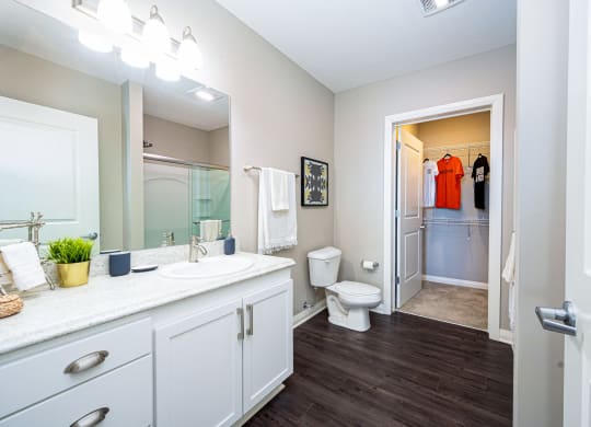 a bathroom with a mirror and a toilet and a walk in closet