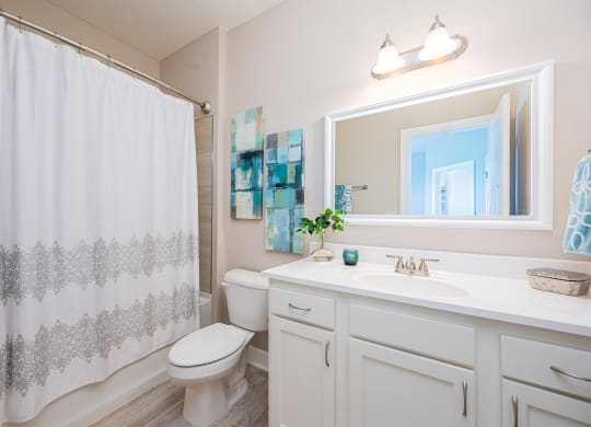a bathroom with a shower curtain and a toilet