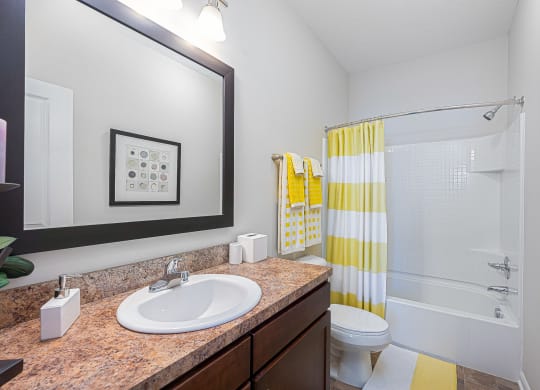 a bathroom with a sink and a shower and a toilet