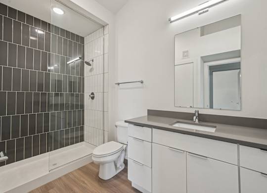 A bathroom with a white toilet and a black tiled shower.