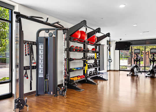 A gym with a variety of equipment including a squat rack, bench press, and a rowing machine.