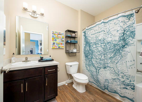 a bathroom with a shower curtain and a toilet and a sink