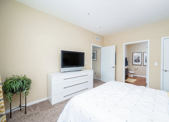 a bedroom with a bed and a television