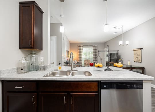 a kitchen with a sink and a dishwasher