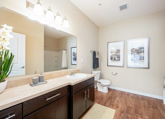 a bathroom with a sink and a toilet and a mirror