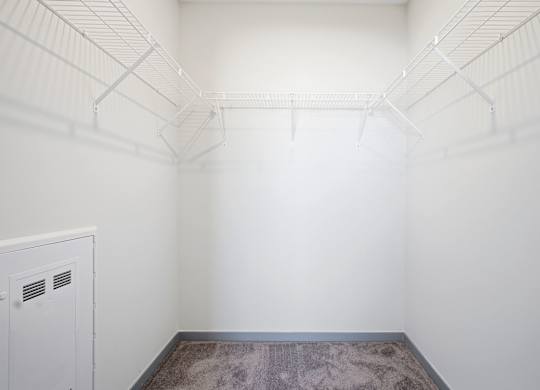 A white closet with a brown carpet and a white cabinet.
