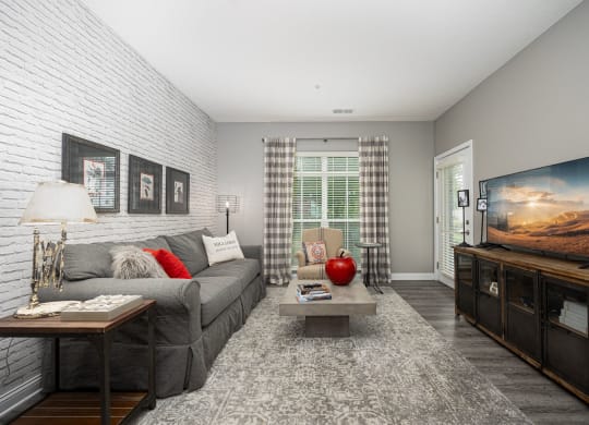 a living room with a gray couch and a television