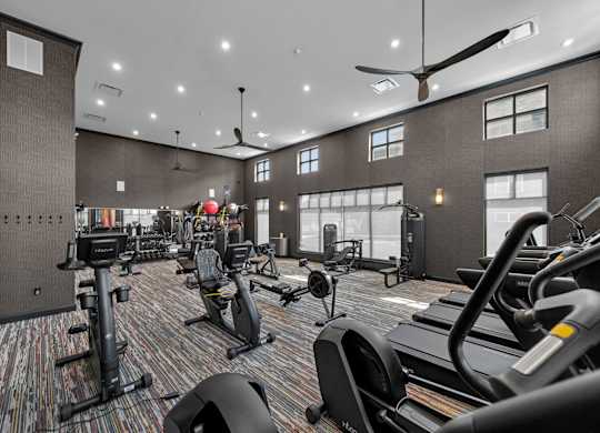 A gym with treadmills, elliptical machines, and other exercise equipment.