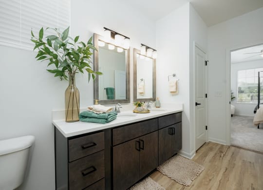 a bathroom with a sink and a toilet and a mirror