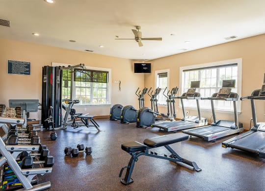 the fitness room has plenty of weights and cardio equipment