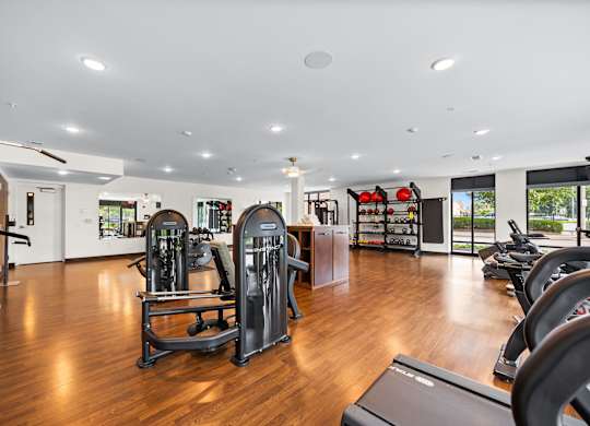 A gym with a variety of equipment including treadmills, weights, and exercise machines.