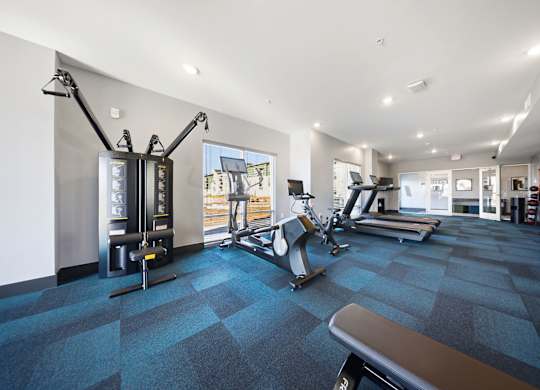 A gym with a variety of equipment including a treadmill, weights, and a bench.