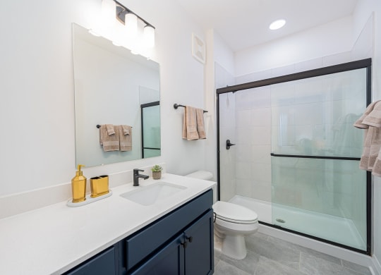 a bathroom with a sink and a shower and a toilet