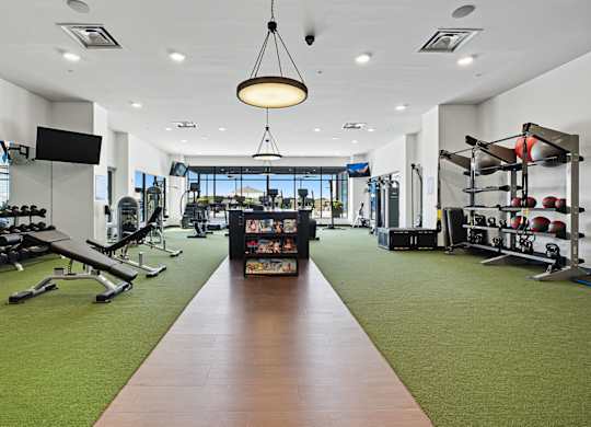 A gym with a variety of equipment and a green carpet.