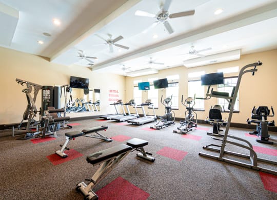 a gym with weights and other exercise equipment in a large room