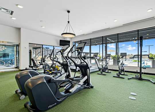 A gym with treadmills, exercise bikes, and a green carpet.