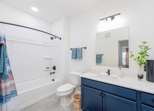 bathroom at the retreat at mount vernon apartments