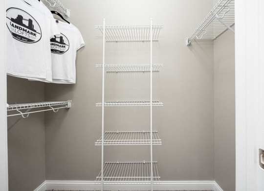 a walk in closet with a wire closet organizer and a shirt hanging on a rack