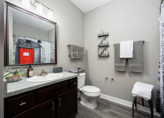 a bathroom with a mirror and a sink and a toilet