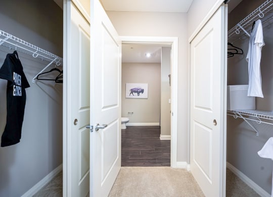 a walk in closet with closets and a toilet