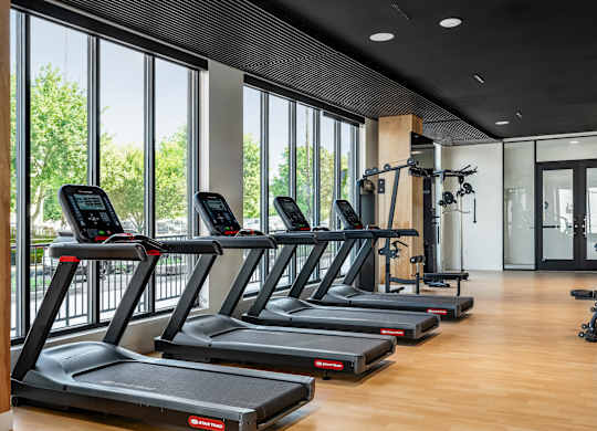 A gym with treadmills and a row of elliptical machines.
